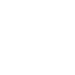 Coconne logo high res white (2500 x 2500 px)