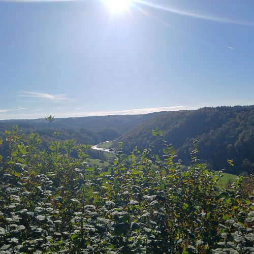 Ontdek de Coconne in Rochehaut Luxemburg 8