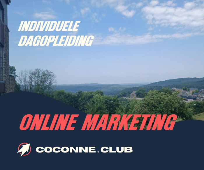 Individuele dagopleiding Online marketing image